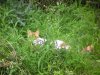 Pic_0627.jpg