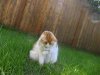 Pic_0680.jpg