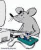 mouse.gif