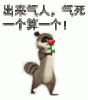 未命名3.gif
