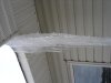 DSC03894.jpg