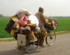funny-cycle-picture.jpg