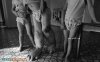 20110106021145929.jpg