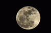moon.gif
