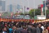 20110420085123524.jpg