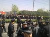 20110420085124771.jpg