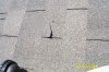 20040321_ 183.jpg