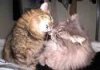 images99.jpg