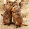 kissing2.jpg