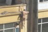 20110429134033.jpg