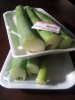 IMG_20110501_170646.jpg