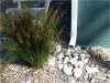 Rain_downspout_798x600.jpg