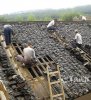 20110502105641647.jpg