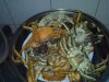 20061112002.jpg