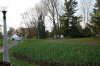Dow's lake_most are like this4.jpg