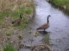 IMG-20110513-00316.jpg