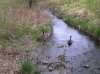 IMG-20110513-00322.jpg