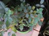 DSC00509#.jpg