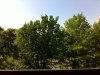 open view.jpg