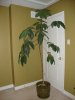 DSC03642.JPG