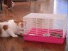 cat01.jpg