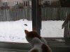 cat06.jpg