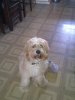 20110606656.jpg