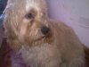20110606658.jpg