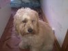 20110606660.jpg