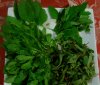 DSC00595#.jpg