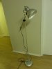 DSC00344.JPG