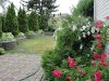 Garden flower 6_1.jpg Garden flower 6_1.jpg