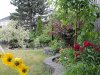 Garden flower 2_1.jpg Garden flower 2_1.jpg