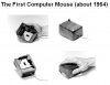 1st_mouse.jpg