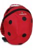 animal-ladybird-LARGE.jpg