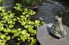 DSC_0452.jpg