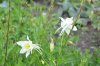 DSC_0472.jpg