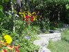 Mixed flower2_1.jpg