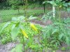 IMG_4613.JPG