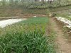 20090501.jpg