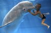 whale-kiss[1].jpg