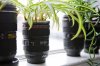 camera-lens-mug-182b.0000001303594518.jpg