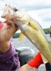 Walleye6.jpg