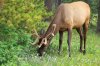 banff-lake_louise-2745.jpg