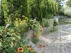 Side garden2.jpg