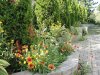Side garden1.jpg