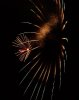 IMG_7461.jpg