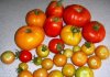 DSCN7491.JPG