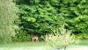 DSCN4373.JPG