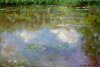 Monet Water Lilies.jpg